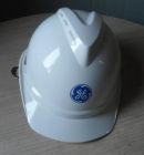 MSA 10109005白色安全帽 GE定制款